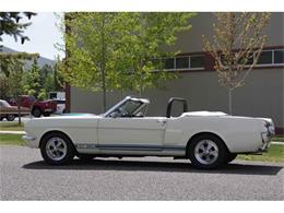 1966 Shelby GT350 (CC-531134) for sale in Hailey, Idaho