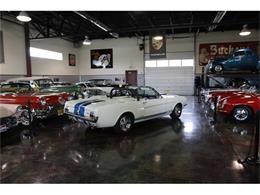 1966 Shelby GT350 (CC-531134) for sale in Hailey, Idaho