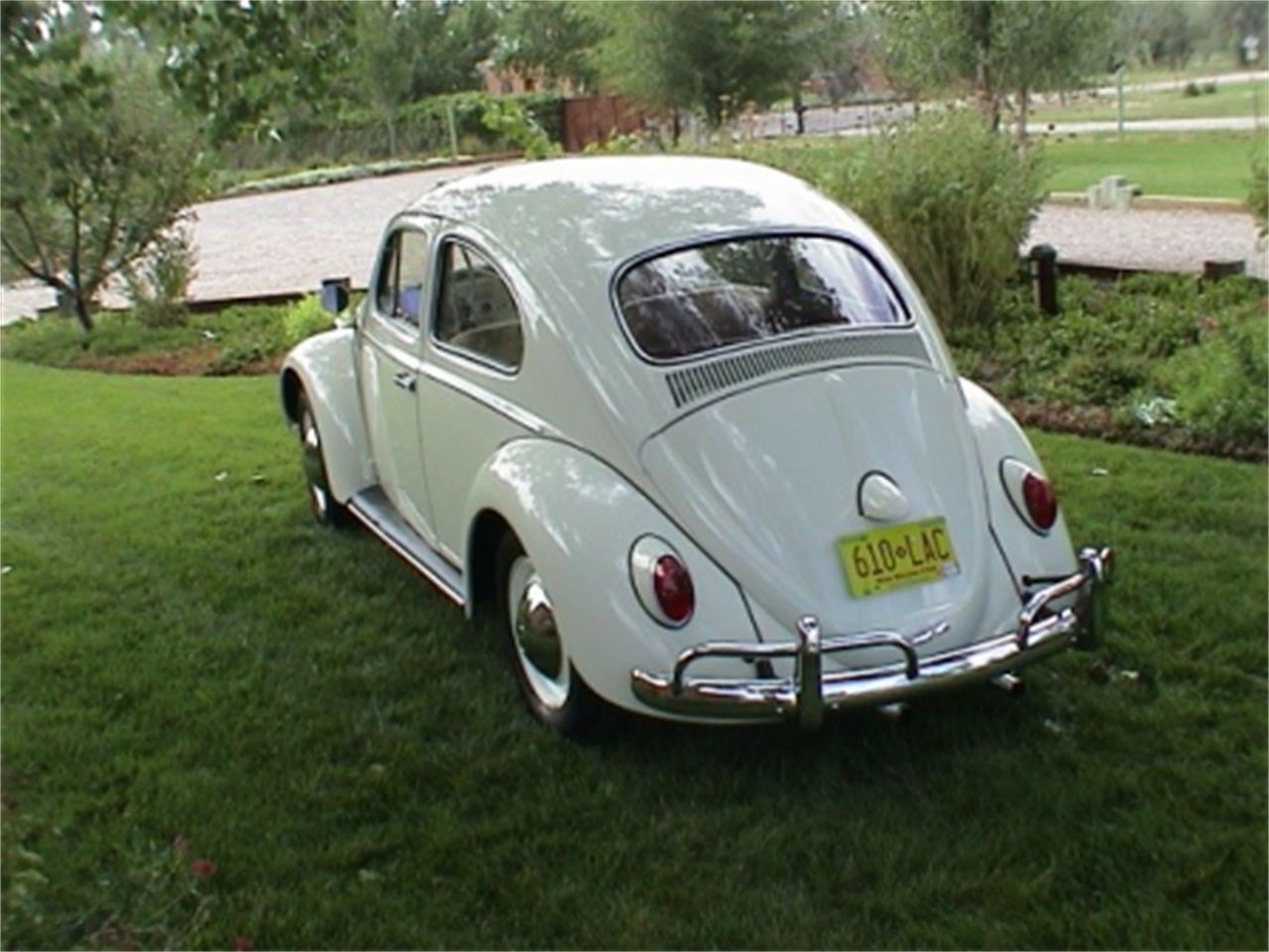 1963 Volkswagen Beetle for Sale CC577252
