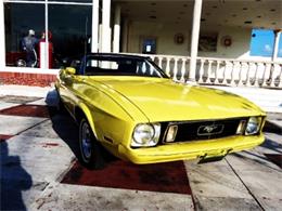 1973 Ford Mustang (CC-610476) for sale in Miami, Florida