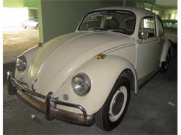 1967 Volkswagen Beetle (CC-614810) for sale in Miami, Florida