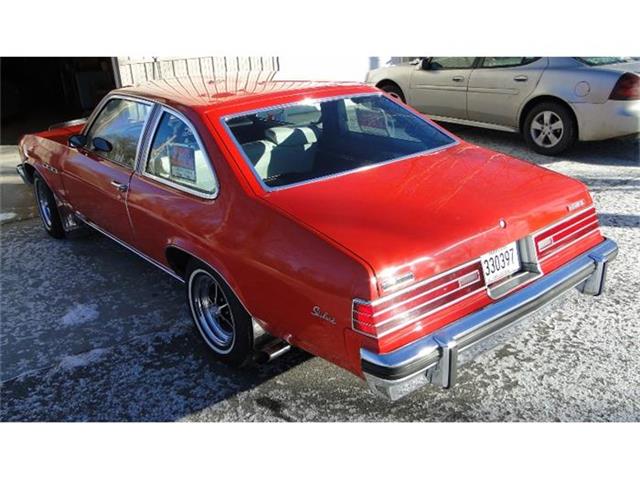1975 Buick Skylark (CC-622581) for sale in Prior Lake, Minnesota