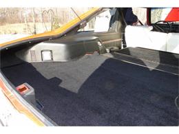 1975 Buick Skylark (CC-622581) for sale in Prior Lake, Minnesota
