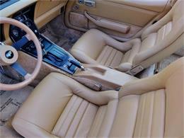 1981 Chevrolet Corvette (CC-630895) for sale in Old Forge, Pennsylvania