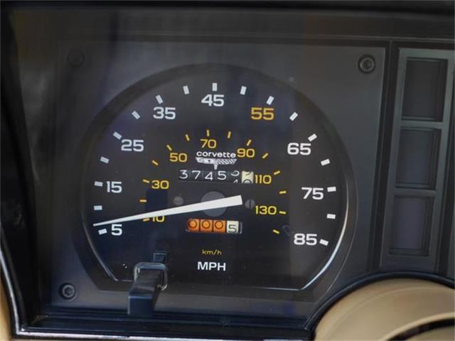 1981 Chevrolet Corvette (CC-630895) for sale in Old Forge, Pennsylvania