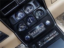 1981 Chevrolet Corvette (CC-630895) for sale in Old Forge, Pennsylvania