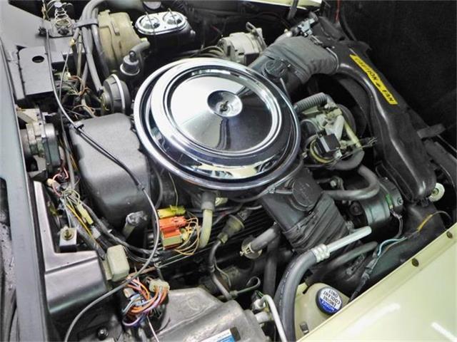 1981 Chevrolet Corvette (CC-630895) for sale in Old Forge, Pennsylvania