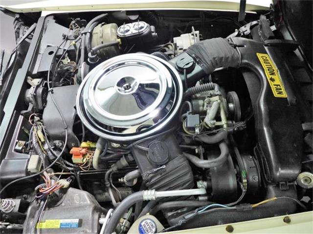 1981 Chevrolet Corvette (CC-630895) for sale in Old Forge, Pennsylvania