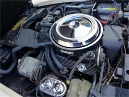 1981 Chevrolet Corvette (CC-630895) for sale in Old Forge, Pennsylvania
