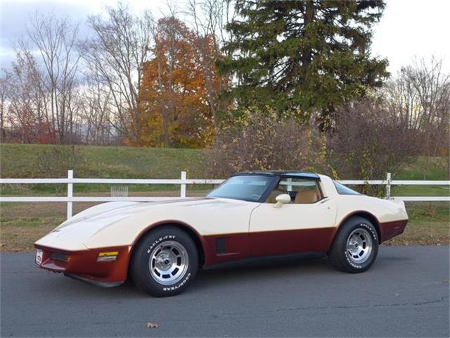 1981 Chevrolet Corvette (CC-630895) for sale in Old Forge, Pennsylvania