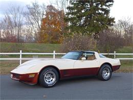 1981 Chevrolet Corvette (CC-630895) for sale in Old Forge, Pennsylvania