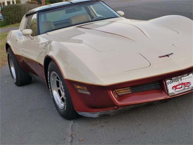 1981 Chevrolet Corvette (CC-630895) for sale in Old Forge, Pennsylvania