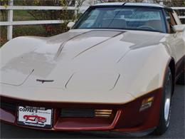 1981 Chevrolet Corvette (CC-630895) for sale in Old Forge, Pennsylvania