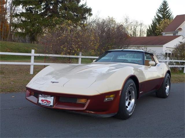 1981 Chevrolet Corvette (CC-630895) for sale in Old Forge, Pennsylvania