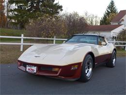 1981 Chevrolet Corvette (CC-630895) for sale in Old Forge, Pennsylvania