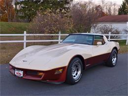 1981 Chevrolet Corvette (CC-630895) for sale in Old Forge, Pennsylvania