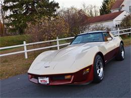 1981 Chevrolet Corvette (CC-630895) for sale in Old Forge, Pennsylvania