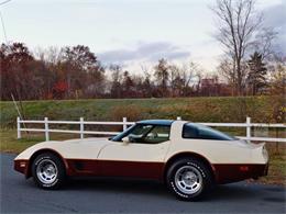 1981 Chevrolet Corvette (CC-630895) for sale in Old Forge, Pennsylvania