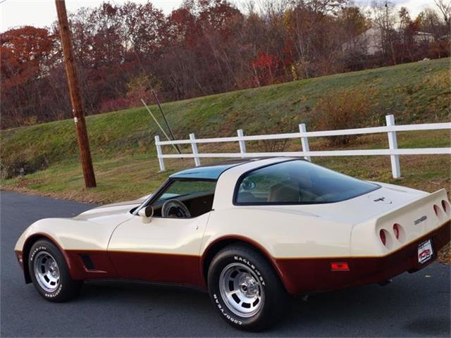 1981 Chevrolet Corvette (CC-630895) for sale in Old Forge, Pennsylvania