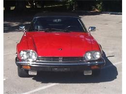 1990 Jaguar XJ12 (CC-639183) for sale in PALM CITY, Florida