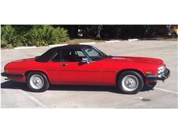 1990 Jaguar XJ12 (CC-639183) for sale in PALM CITY, Florida