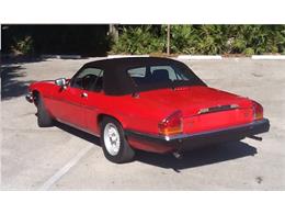 1990 Jaguar XJ12 (CC-639183) for sale in PALM CITY, Florida