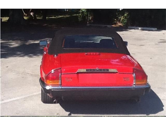 1990 Jaguar XJ12 (CC-639183) for sale in PALM CITY, Florida