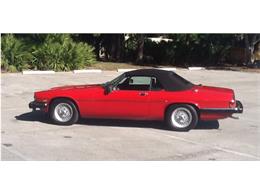 1990 Jaguar XJ12 (CC-639183) for sale in PALM CITY, Florida