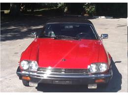 1990 Jaguar XJ12 (CC-639183) for sale in PALM CITY, Florida
