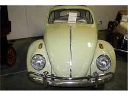 1963 Volkswagen Beetle (CC-643264) for sale in Branson, Missouri