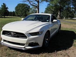 2015 Ford Mustang GT (CC-649340) for sale in Westfield, New Jersey