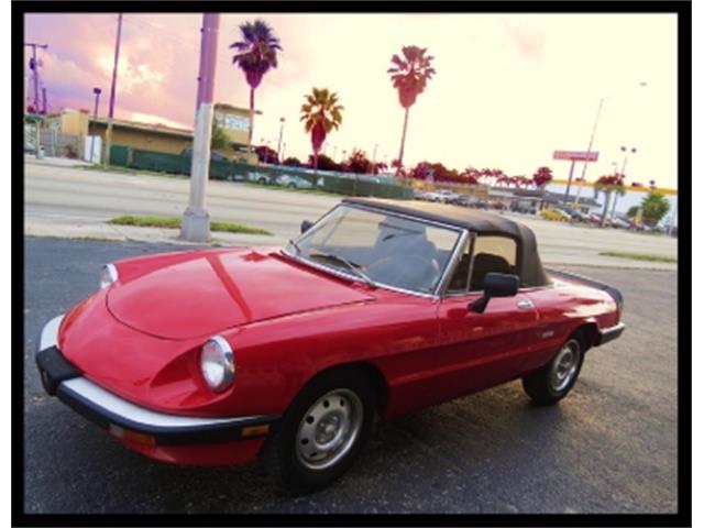 1986 Alfa Romeo Spider (CC-652427) for sale in Miami, Florida