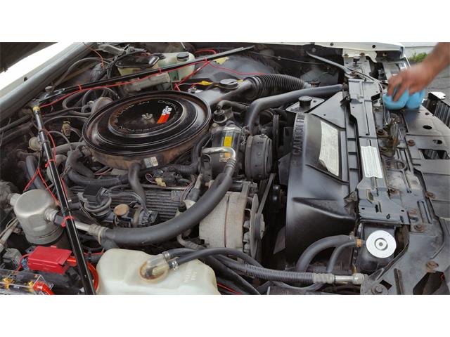 1985 Cadillac Seville (CC-663887) for sale in Abingdon, Maryland