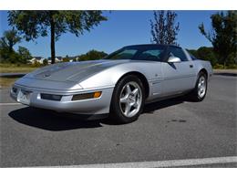 1996 Chevrolet Corvette (CC-696868) for sale in Germantown, Maryland