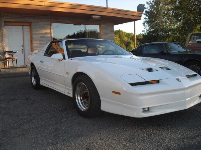 1989 Pontiac Turbo Trans Am Pace Car (CC-701065) for sale in Whitefish, Ontario