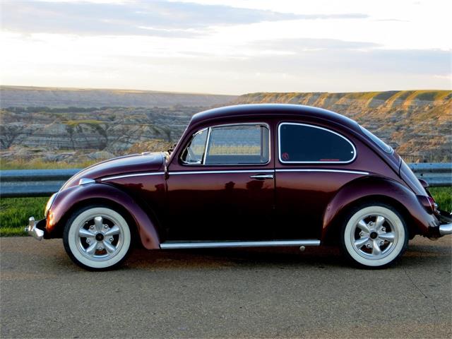 1966 Volkswagen Beetle (CC-702842) for sale in Three Hills, Alberta