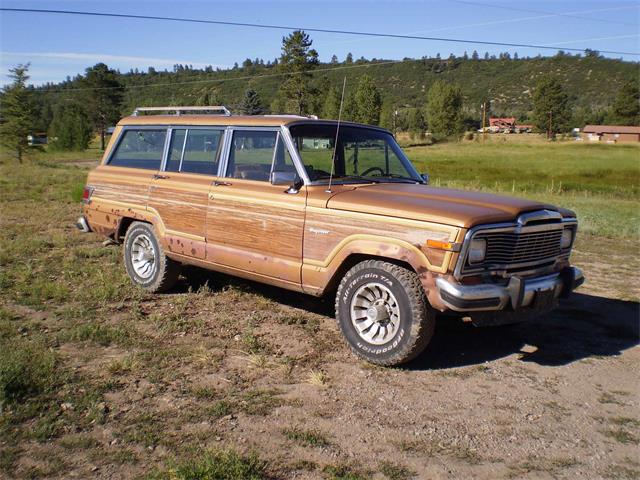 1983 Jeep Grand Wagoneer (CC-705524) for sale in Glenview, Illinois