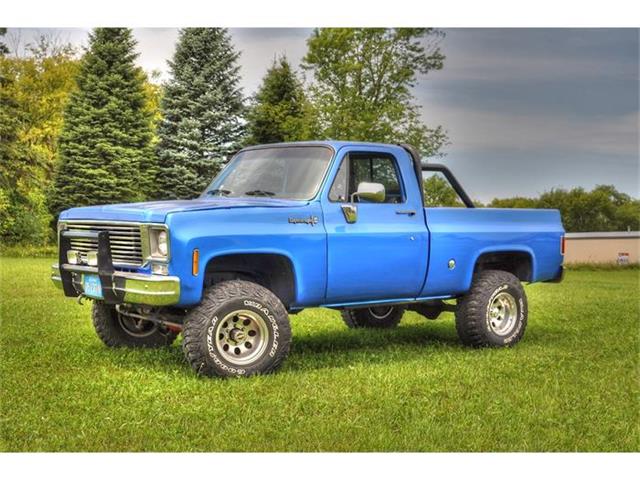1973 Chevrolet 1/2 Ton Pickup (CC-705760) for sale in Watertown, Minnesota
