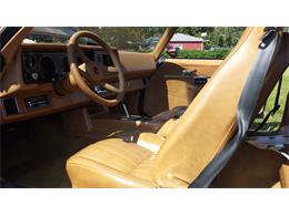1979 Chevrolet Camaro Z28 (CC-711912) for sale in Westland, Michigan