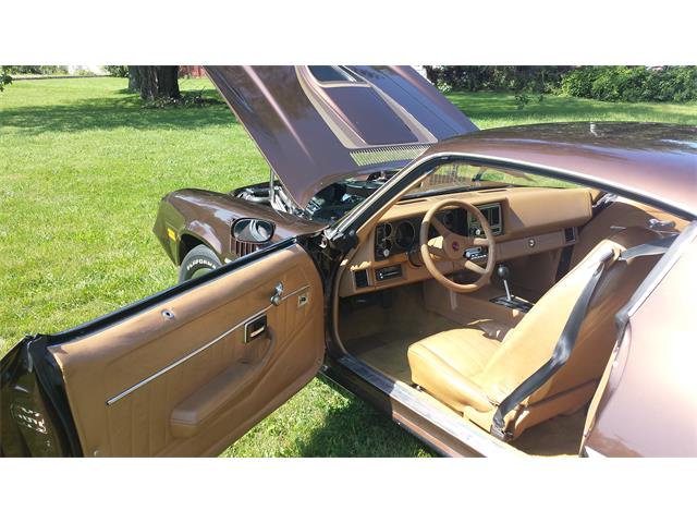 1979 Chevrolet Camaro Z28 (CC-711912) for sale in Westland, Michigan