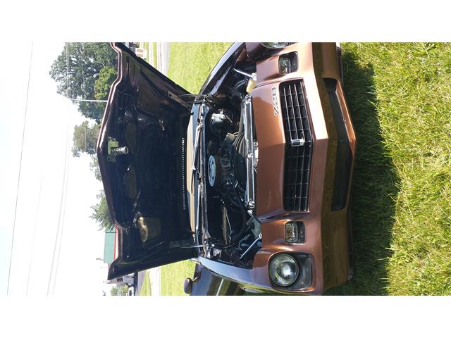 1979 Chevrolet Camaro Z28 (CC-711912) for sale in Westland, Michigan