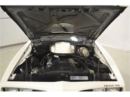 1977 Pontiac Firebird Trans Am (CC-710652) for sale in Whiteland, Indiana