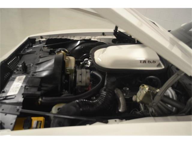 1977 Pontiac Firebird Trans Am (CC-710652) for sale in Whiteland, Indiana