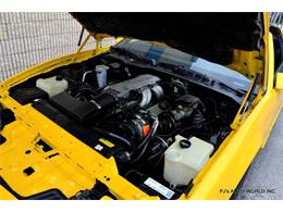 1986 Pontiac Firebird (CC-719342) for sale in Clearwater, Florida