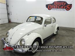 1961 Volkswagen Beetle (CC-731057) for sale in Nashua, New Hampshire