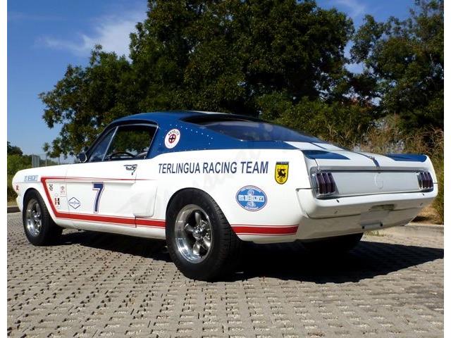 1965 Ford MUSTANG TERLINGUA RACING (CC-734047) for sale in Arlington, Texas