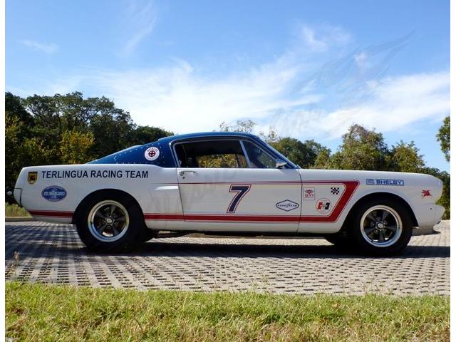 1965 Ford MUSTANG TERLINGUA RACING (CC-734047) for sale in Arlington, Texas