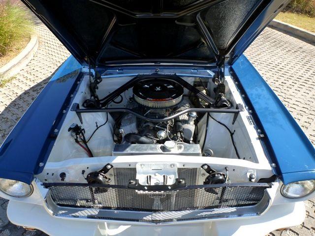 1965 Ford MUSTANG TERLINGUA RACING (CC-734047) for sale in Arlington, Texas