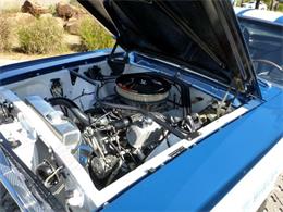 1965 Ford MUSTANG TERLINGUA RACING (CC-734047) for sale in Arlington, Texas