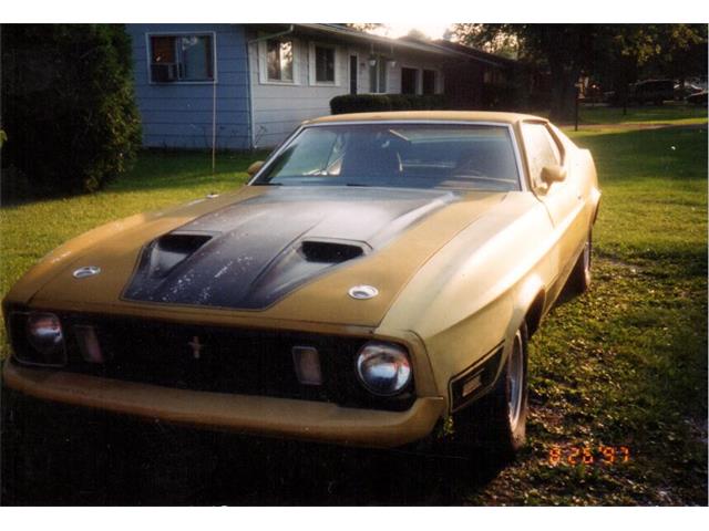 1973 Ford Mustang Mach 1 (CC-736579) for sale in Greencastle, Indiana